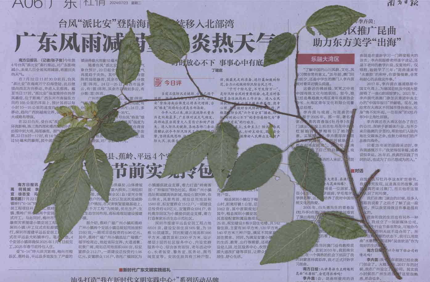 未标题-2.jpg